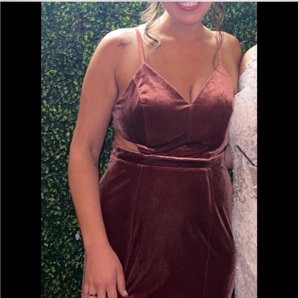 Revelry Terracotta Zuri Velvet Dress.
